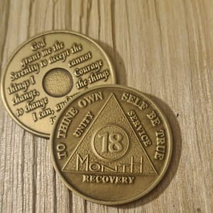 Bronze mønt 18 måneder