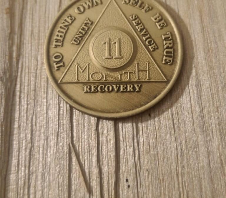 Bronze 11 måneders mønt